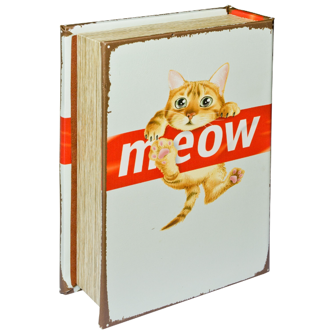 Mirrored Meow Storage Book Box