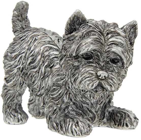 Silver Detailed Playful Highland Terrier Small