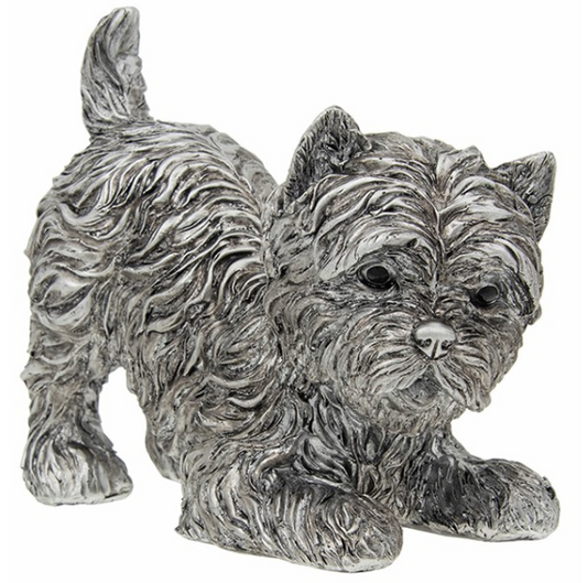 Silver Detailed Playful Highland Terrier Large