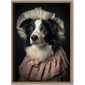 Border Collie Dog Portrait Print