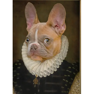 French Bulldog Portrait Print