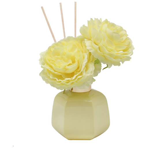 Vanilla & Anise 100ml Diffuser