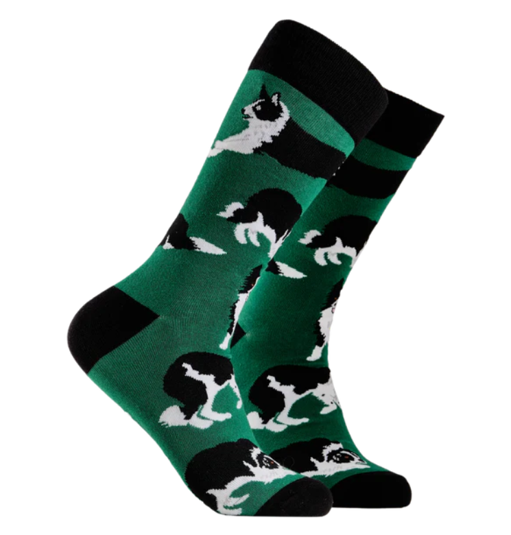 Soctopus Mens Socks Various Designs