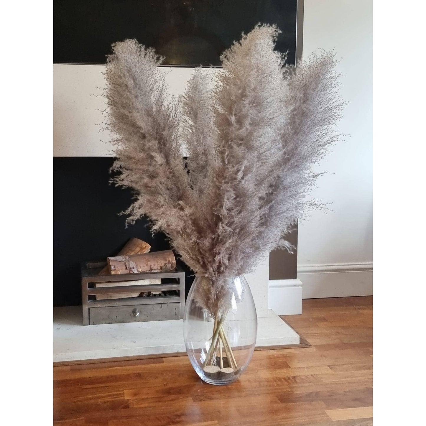 Large Pampas Grass Natural Grey Dried Tall