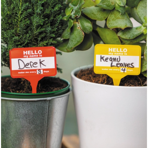 Plant Name Tags