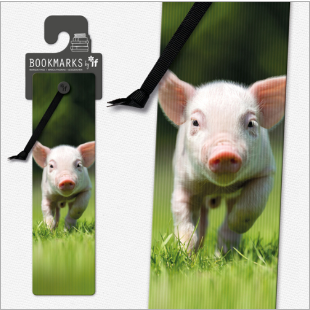 3D Animal Bookmarks